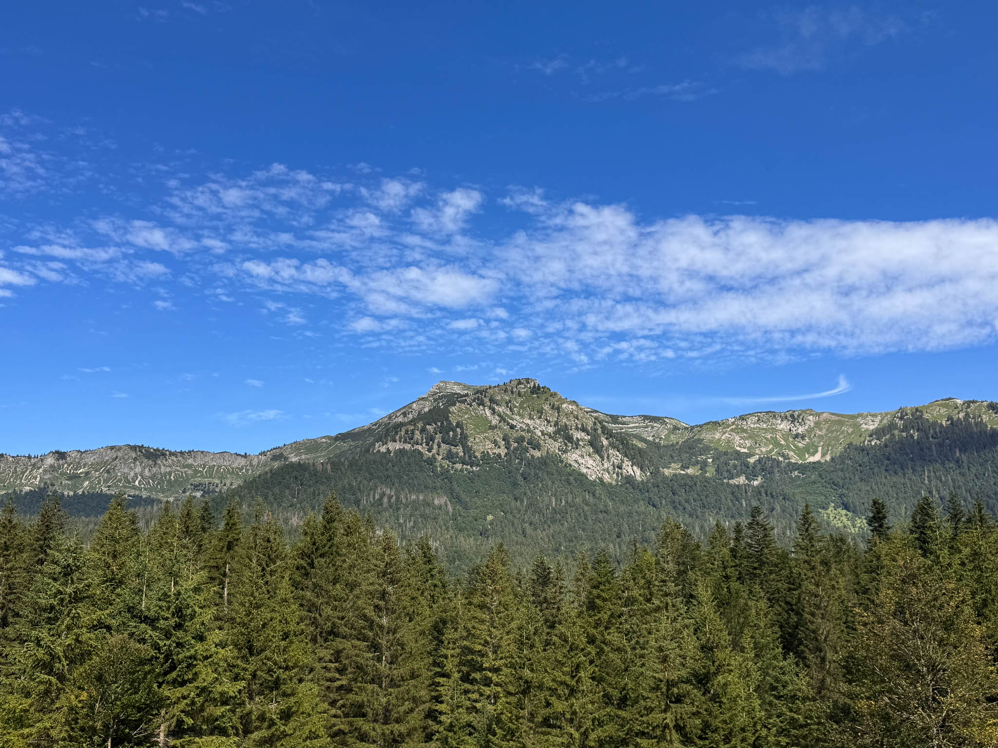 UNESCO Weltnaturerbe Wildnisgebiet Dürrenstein-Lassingtal