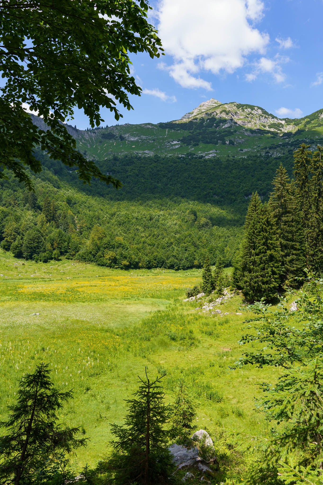 UNESCO Weltnaturerbe Wildnisgebiet Dürrenstein-Lassingtal