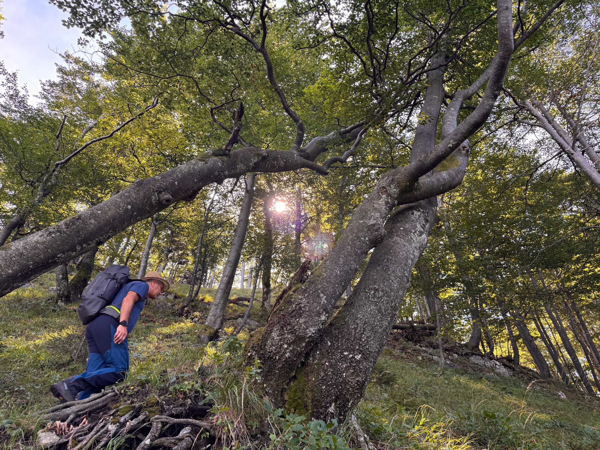 Tremlsteig Wildnisgebiet Dürrenstein-Lassingtal