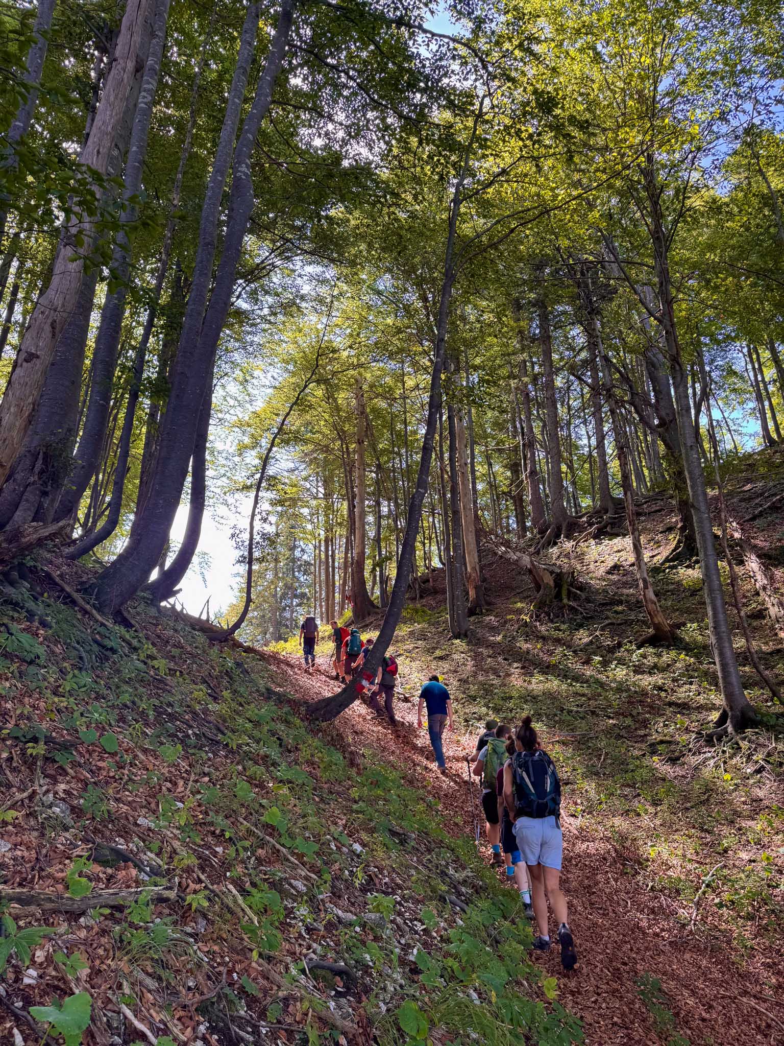 Tremlsteig Wildnisgebiet Dürrenstein-Lassingtal